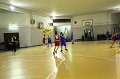 Basket 443039